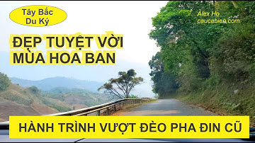 ĐÈO PHA ĐIN MÙA HOA BAN ALEX HO HÀNH TRÌNH VƯỢT ĐÈO PHA ĐIN CŨ | ĐÈO PHADIN CŨ VÀ ĐÈO PHADIN MỚI?
