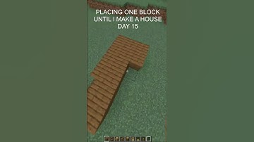 PLACING ONE BLOCK UNTIL I MAKE A HOUSE (DAY 15) #shorts