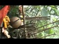 Chottanikkara Remya Menon