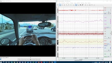 Eye Tracking with Synchronized Physiology Data