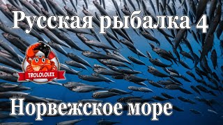 Русская рыбалка 4 Морская донная с мертвой рыбой