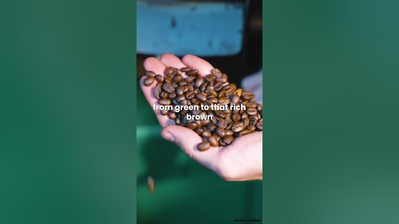 HOW COFFEE IS MADE YouTube