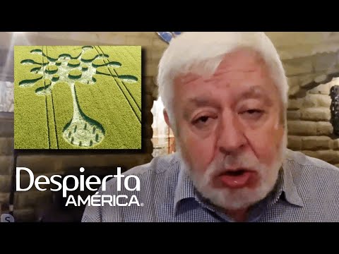 Vídeo: Crecimiento Acelerado De Plantas En Lugar De Pictogramas En Los Campos - Vista Alternativa