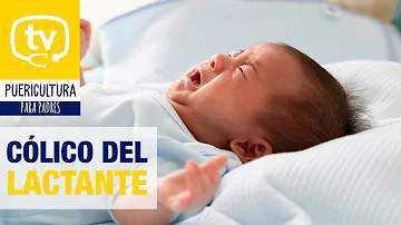 ¿Los bebés con cólicos lloran todas las noches?