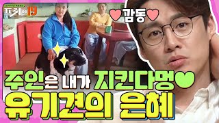 유기견이 되갚아 준 은혜? [인생을 뒤바꾼 역사적 그날 19] | 프리한19 free19 EP.204