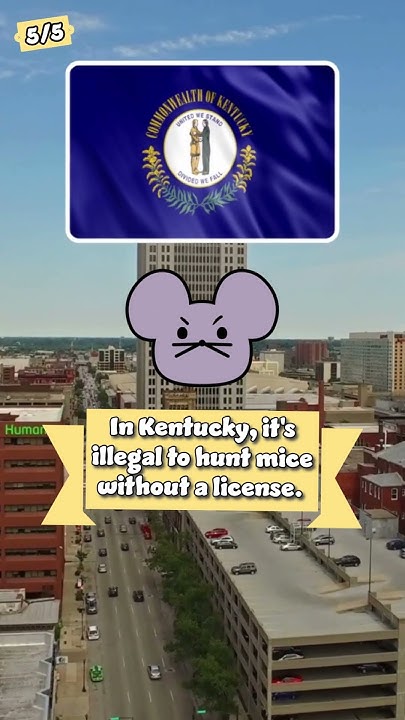 10-stupid-laws-in-the-usa-2-shorts-viral-trending-foryou-youtube