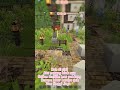 Tutorial aktif kan magic tool monodeco ð·âš #dramakawaiiworld #kawaiworld #mimecraft #tutorial #pov
