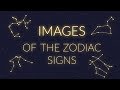 THE IMAGES of the Zodiac Signs