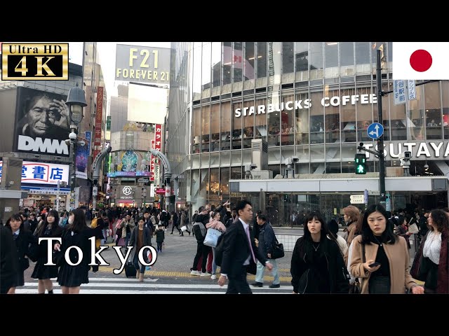 What to do in Tokyo in December (Video #104)