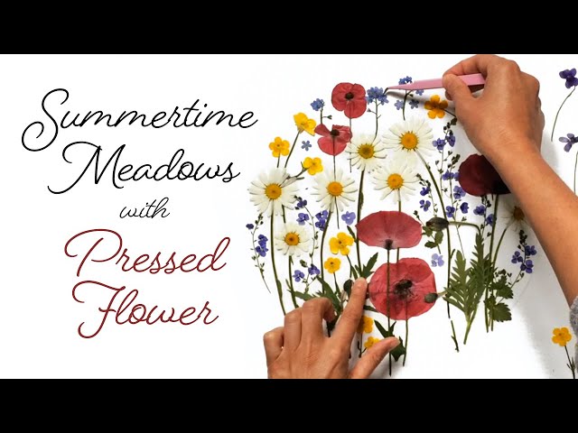 How to make pressed flowers and pressed flower art - Sweet Valley Acres