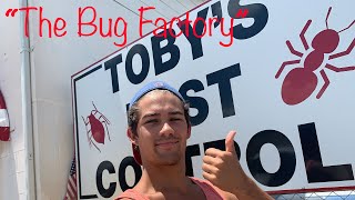 Pest Control Office Tour - Behind the Bugs