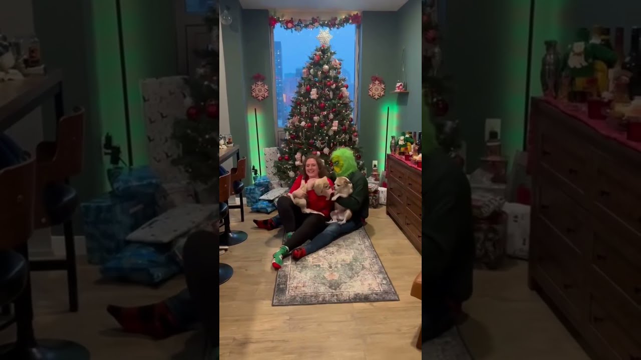The Grinch S Christmas Shenanigans What Led Up To Picture Fok