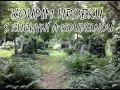 VEČNOSŤ OMYLOV - knižný trailer