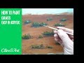 How to Paint Grass Quick and Easy Acrylic Painting Painting Tutorial