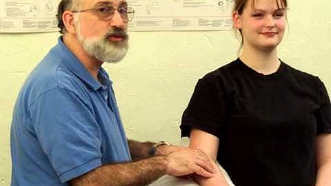 Forearm Extensors Trigger Point Richard Finn LMT, CMTPT, MCSTT Pittsburgh