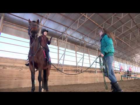 видео: «В Активном поиске»: Конный спорт