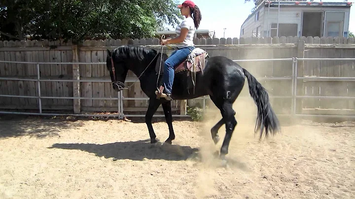 Rancho Oro Grande Annette Gomez
