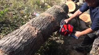 Efco MT 6500 Chainsaw at Tyson mowers