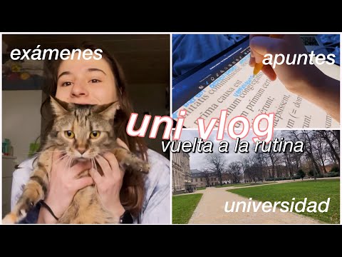 uni vlog: cambio de habitación, exámenes, uni…