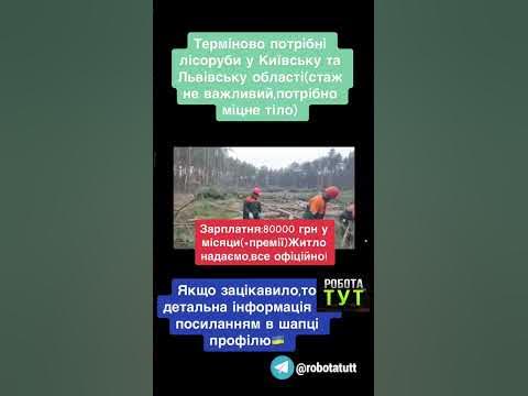 Робота тут/Вакансії в Україні/Бізнес та фінанси - YouTube