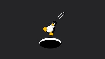 The Black Hole of Linux