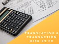 Transaction Risk Versus Translation risk - YouTube