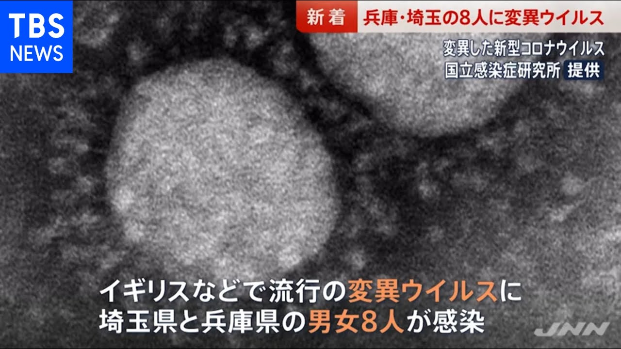 どこ 種 埼玉 変異 クラスター 変異ウイルス初クラスター 埼玉の職場、同僚顧客に｜必死のリモートワーク要請に違和感