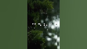 😊Stop blaming yourself...be balanced #motivational #short #video