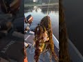 When your rod breaks but you’re not letting that fish go!🐟🔥#fishinglife  #nevergiveup#fishing#fyp