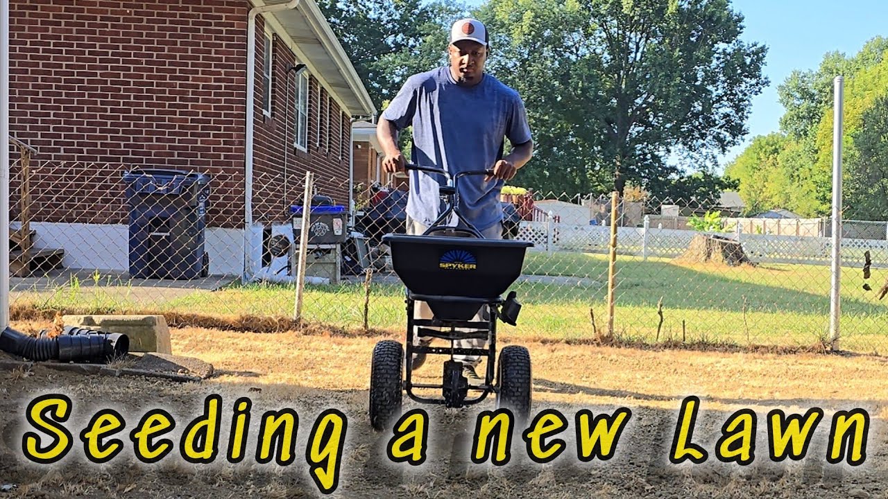 How to Seed a New Lawn (EASY)