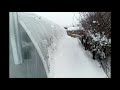 обзор моего мини-рассадника на 10 марта 2018