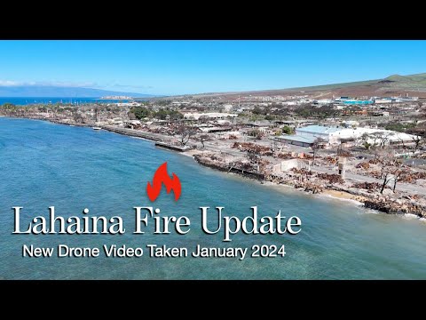 Video: Gids na Lahaina, Maui
