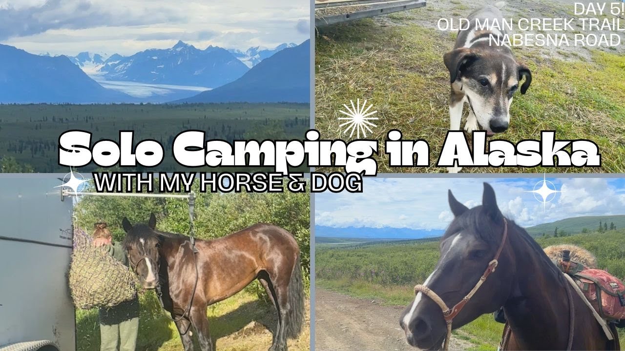 Day 5 - Solo camping in Alaska w/my horse & dog!! Trail ride at Old Man Creek Trail. Camp @ Nabesna