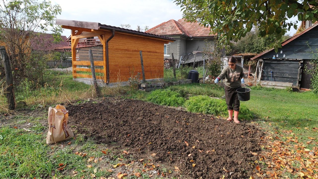 Munca în grădină nu s-a terminat... Plantăm și în octombrie!