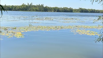 Câu cá trãi nghiệm hồ Cần Nôm #cauca #chillchill #pg1