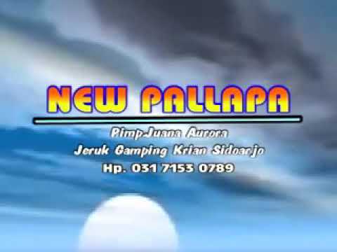 Sholiq PALLAPA - Berkelana