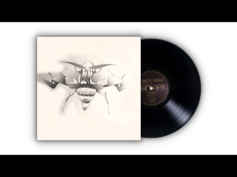 Black Labs — 𝐁𝐥𝐚𝐜𝐤 𝐋𝐚𝐛𝐬 - 𝐒𝐩𝐚𝐜𝐞 𝐁𝐚𝐫 (𝟏𝟗𝟗𝟓)