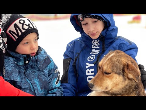 Видео: Чего БОИТСЯ Артур ? НАШЛИ СЛАБЫЕ СТОРОНЫ Папы!