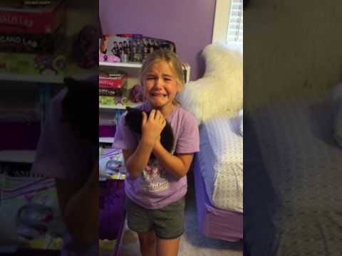 Adorable girl meets kitten for the first time and cries tears of pure joy!! - Marley & Ella