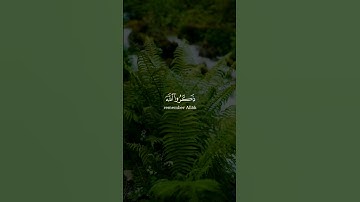 بصوت رعد الكردي  [سورة آل عمران ١٣٥ - ١٣٦] #قران_كريم #حالات_واتس  #quran #ستوريات