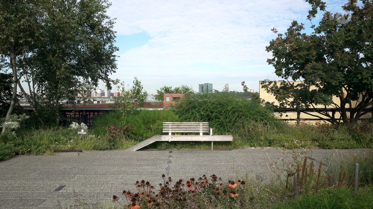The High Line New York City Revisited (2025)