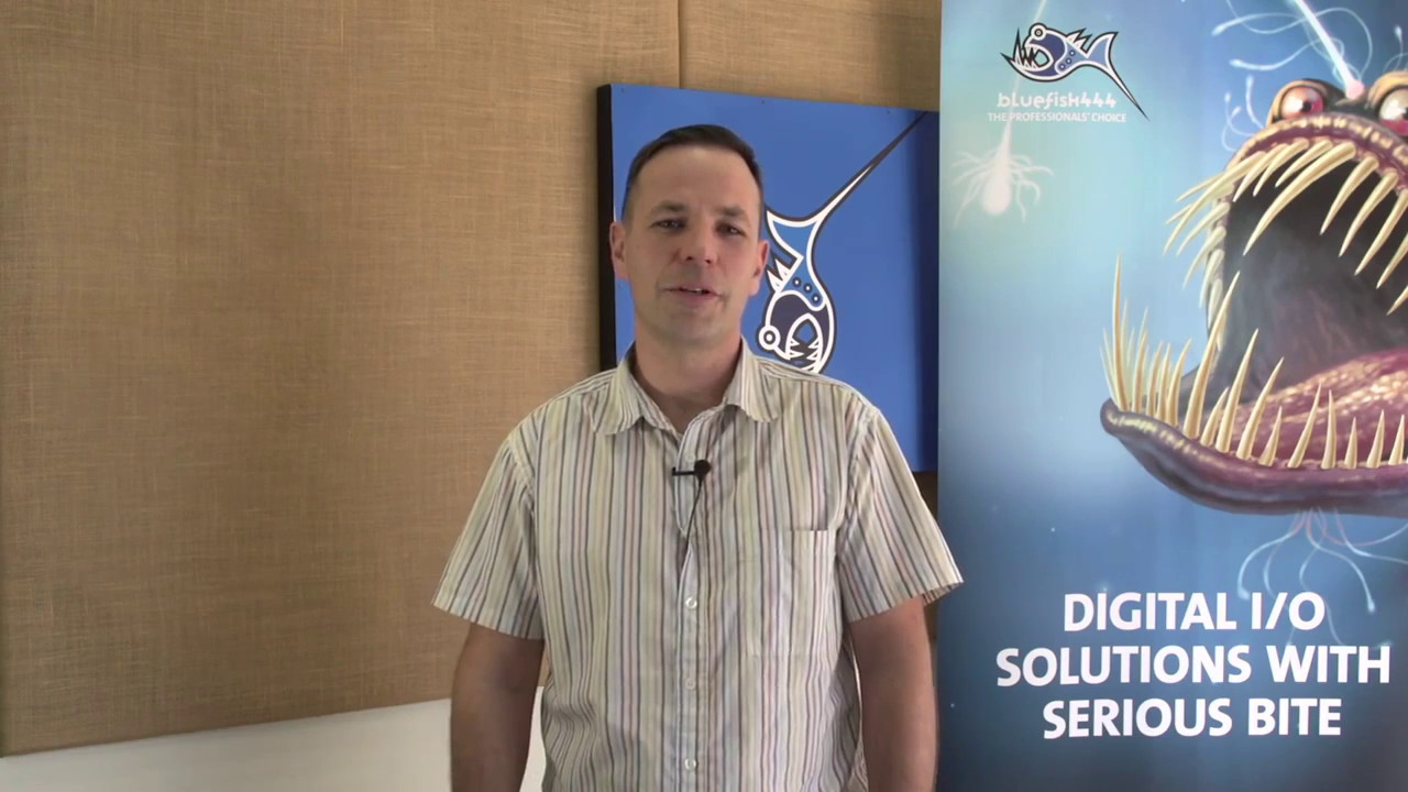 Bluefish444 - IngeSTore Overview