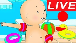 Caillou LEARNS TO SWIM | LIVE 🔴 Funny animated cartoon |
