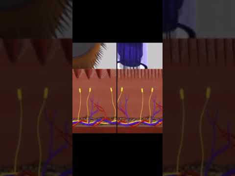 شو احلى جلسه ديرمابن مع ميزوثيربي عملتيها