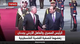 الرئيس المصري والعاهل الأردني يجددان رفضهما لتصفية القضية الفلسطينية| #مراسلو_سكاي