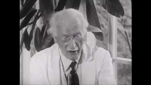 Carl Jung - The Child Is Not Born Tabula Rasa