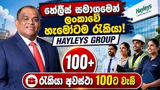 Hayley's group job vacancies 2026 Hayley's group job vacancies 2026
