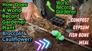 Watch This Before Planting Broccoli or Cauliflower! World Record Gardener's Secrets To Success!