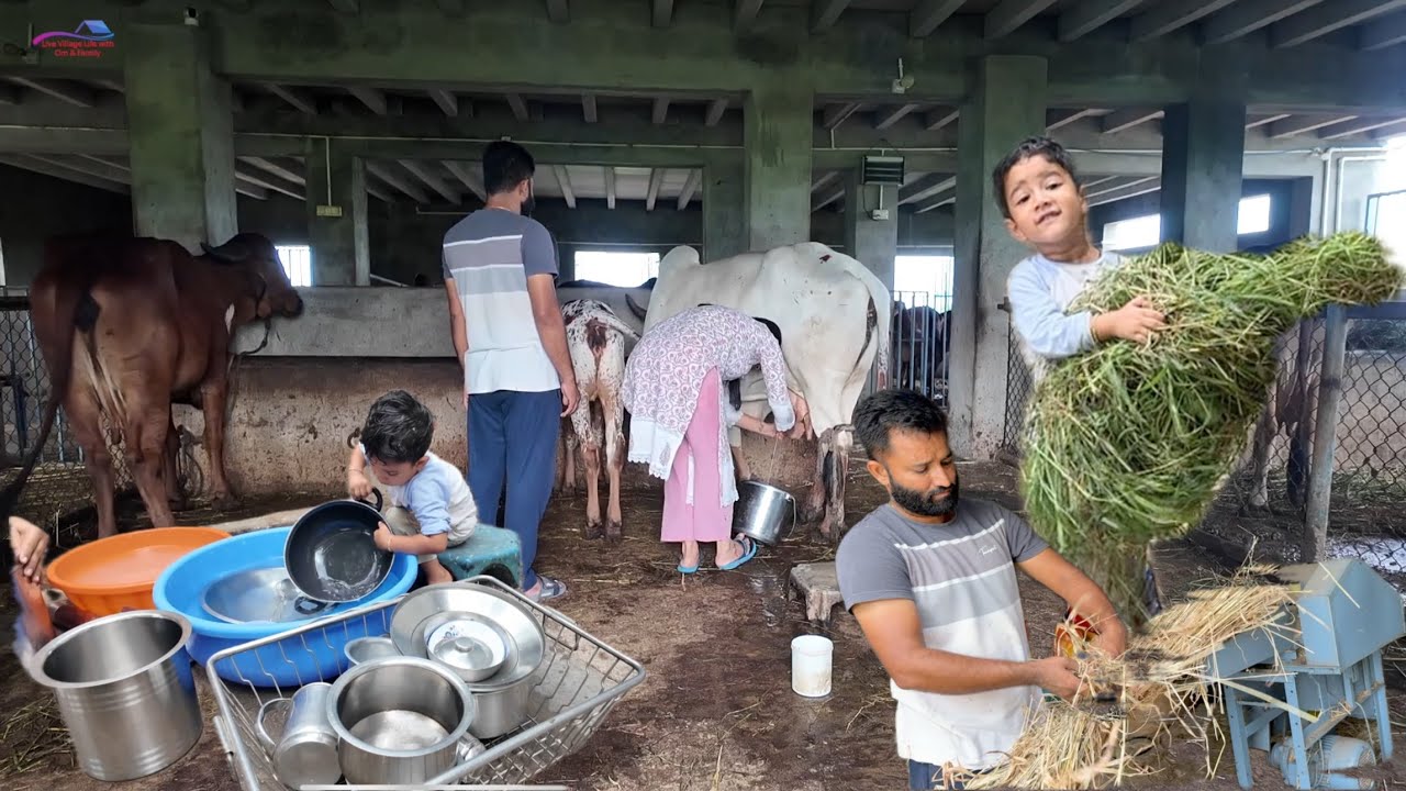 Ajj sara kam or Gaushala ka kaam hum karenge 