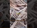 Bhookamp ke jhatke, Earthquake in Afghanistan, Effected 300 people by earthquake #viral #earthquake